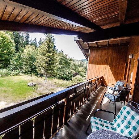 Apartments Haus Martin バイエリッシュ・アイゼンシュタイン エクステリア 写真