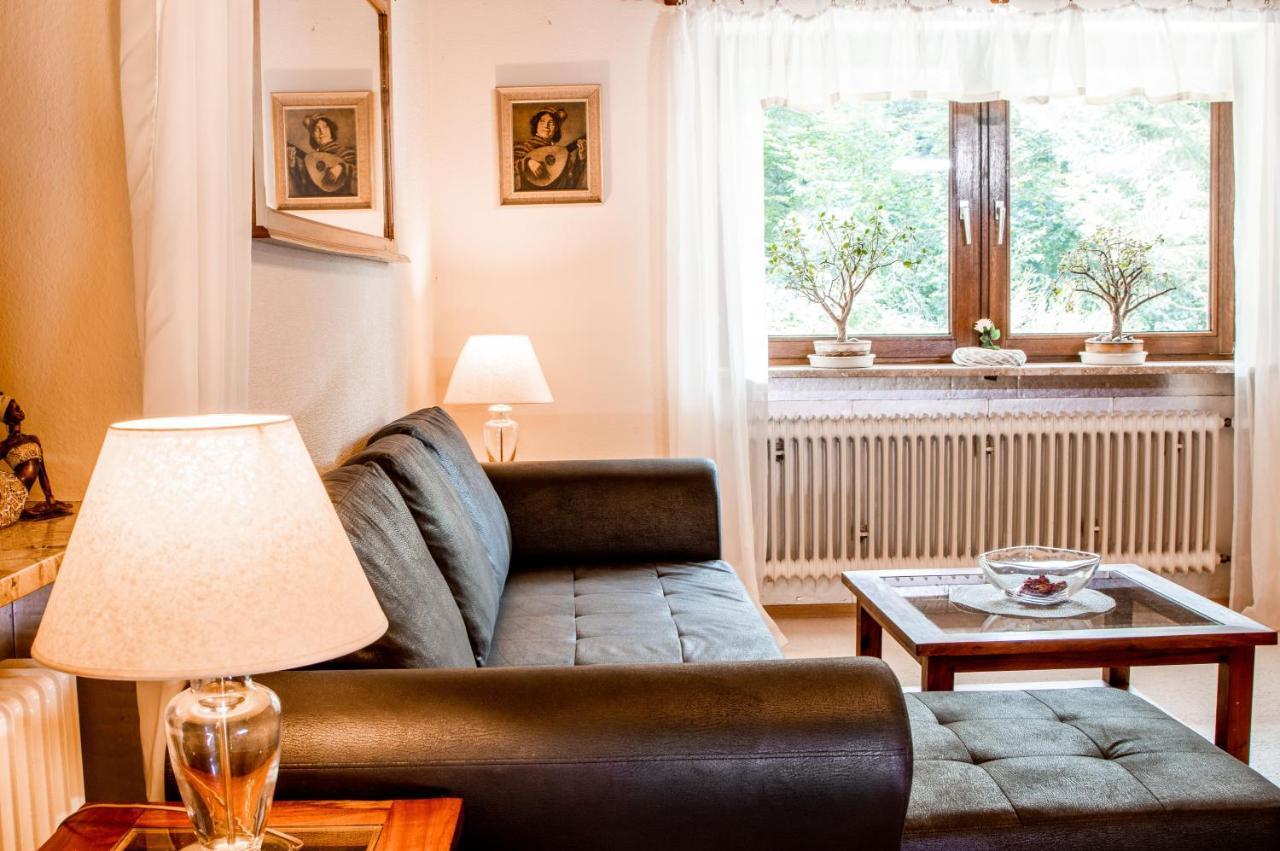 Apartments Haus Martin バイエリッシュ・アイゼンシュタイン エクステリア 写真