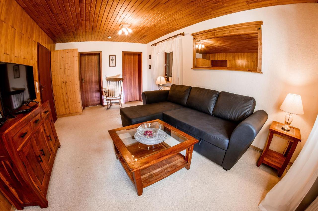 Apartments Haus Martin バイエリッシュ・アイゼンシュタイン エクステリア 写真