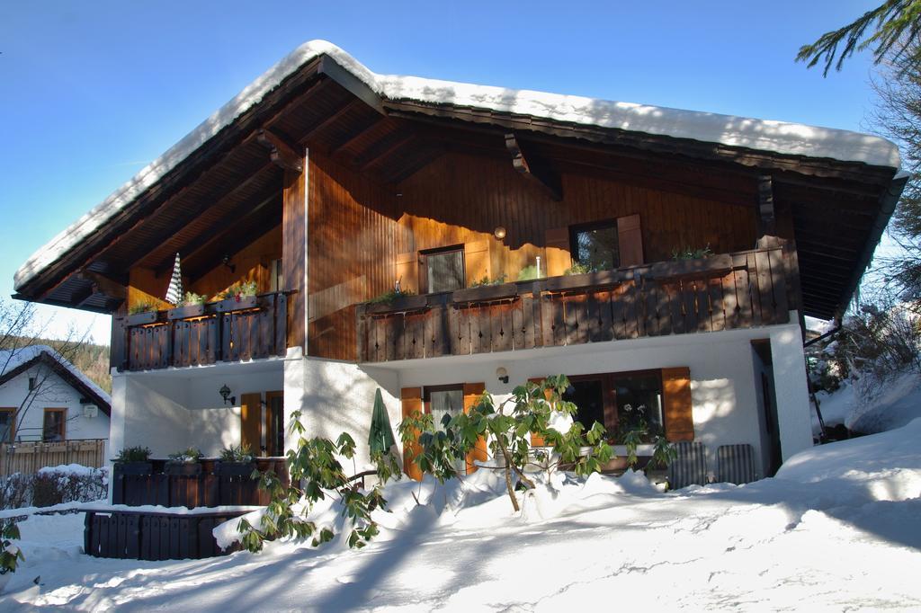 Apartments Haus Martin バイエリッシュ・アイゼンシュタイン エクステリア 写真